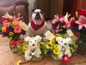 16426189_10212071760018379_7976541185546072868_n