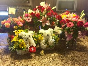 16508668_10212071762978453_2979255047254709359_n