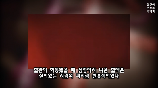 Youtube '당신이 모르는 이야기'