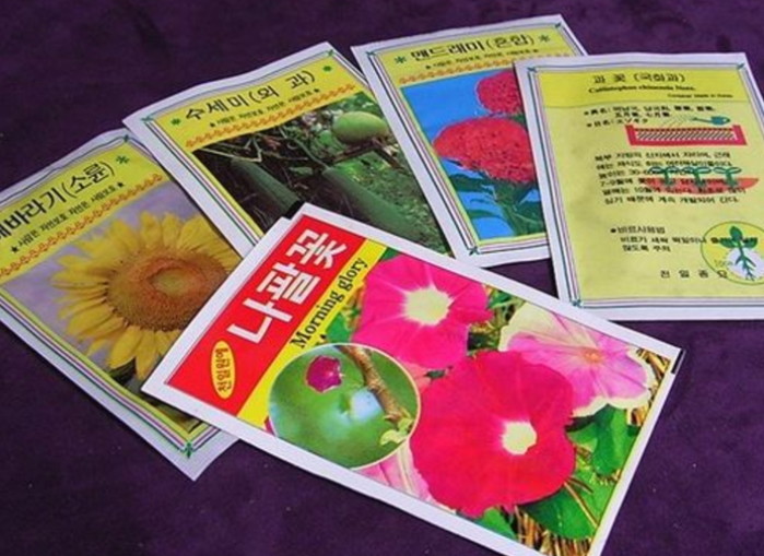 씨앗 / 온라인커뮤니티