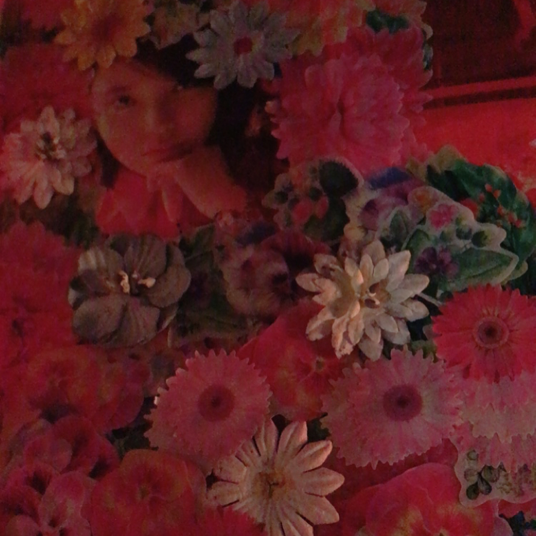 25017970_156133395007009_1491147533466992640_n