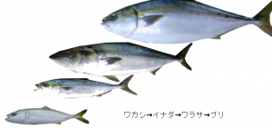 2cdda966171b98d51562c4b1cc0b60f4