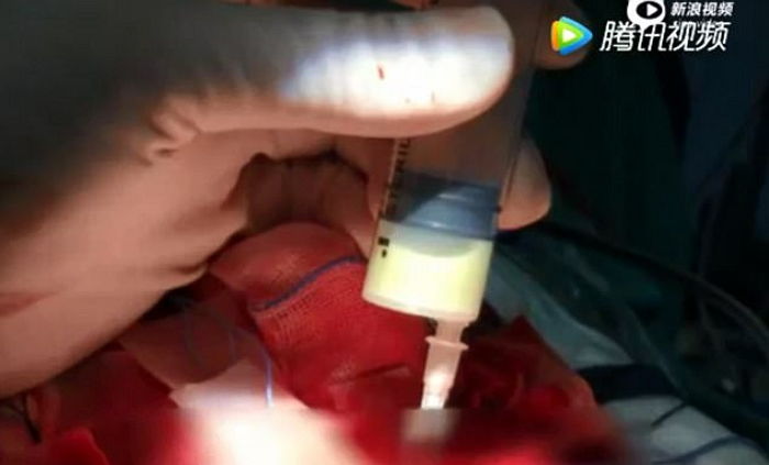 Guangdong Television Station