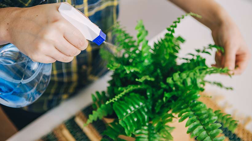 48168b18-e84b-4f8b-a6a0-769537d0312d