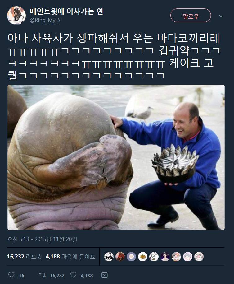 597cae973d97a4a37d15e19605f707c4