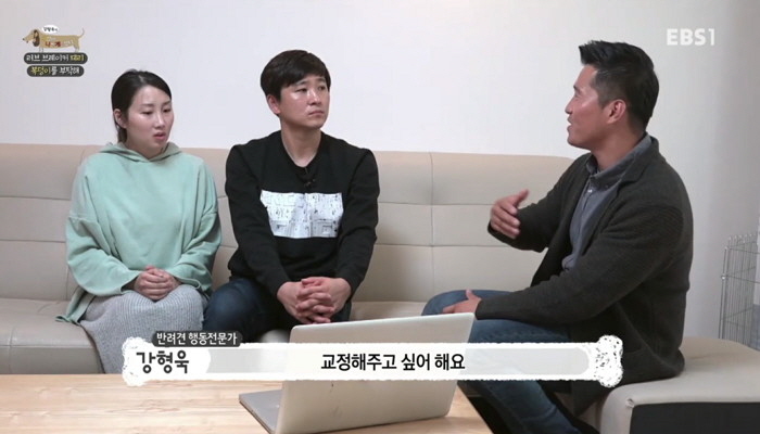 EBS1 '강형욱의 세상에 나쁜 개는 없다'