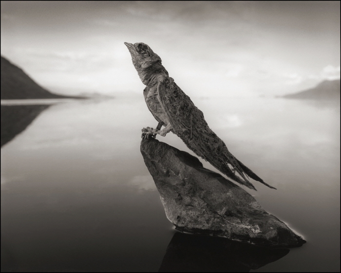 Nick Brandt