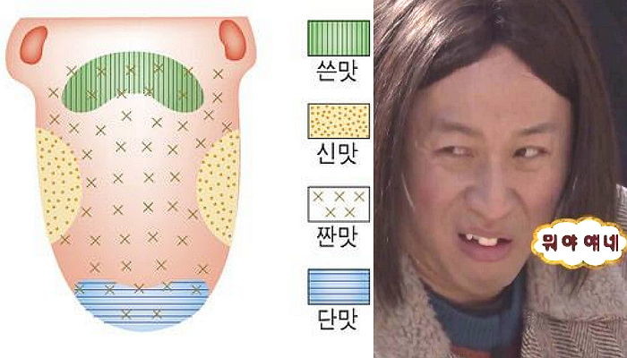 (좌) 온라인 커뮤니티, (우) MBC '무한도전'