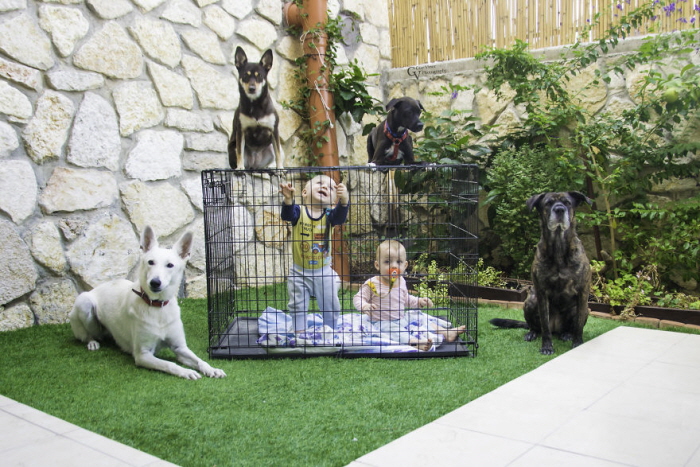 Facebook 'Guy Vainer'