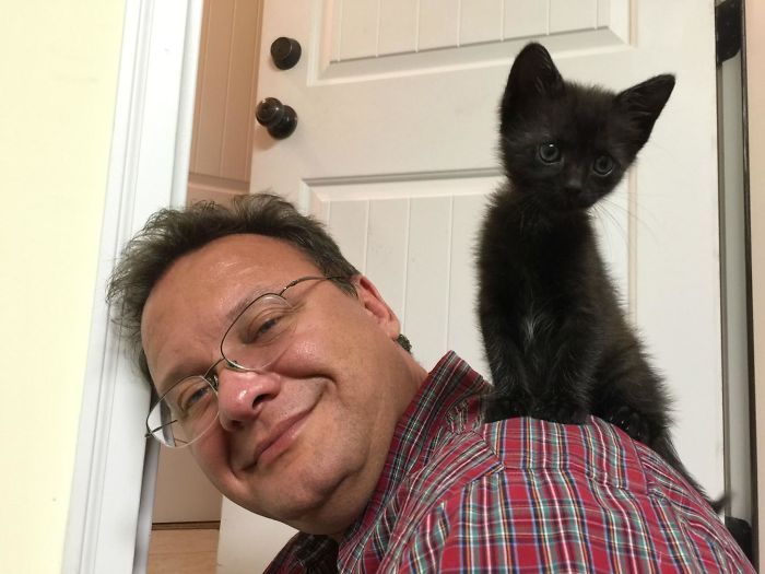 My Girlfriend's Dad Doesn't Like Cats So He Says, Looks Like She Won Him Over My Girlfriend