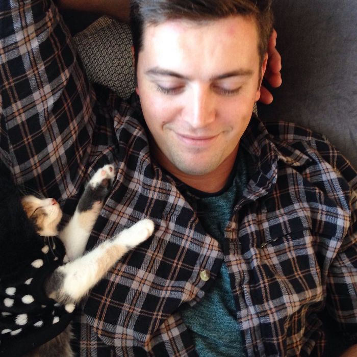 Before I Got My Kitten, My Boyfriend Said He Didn't Like Cats. Now I Have Been Demoted To "Princess #2" Before I Got My Kitten, My Boyfriend Said He Didn