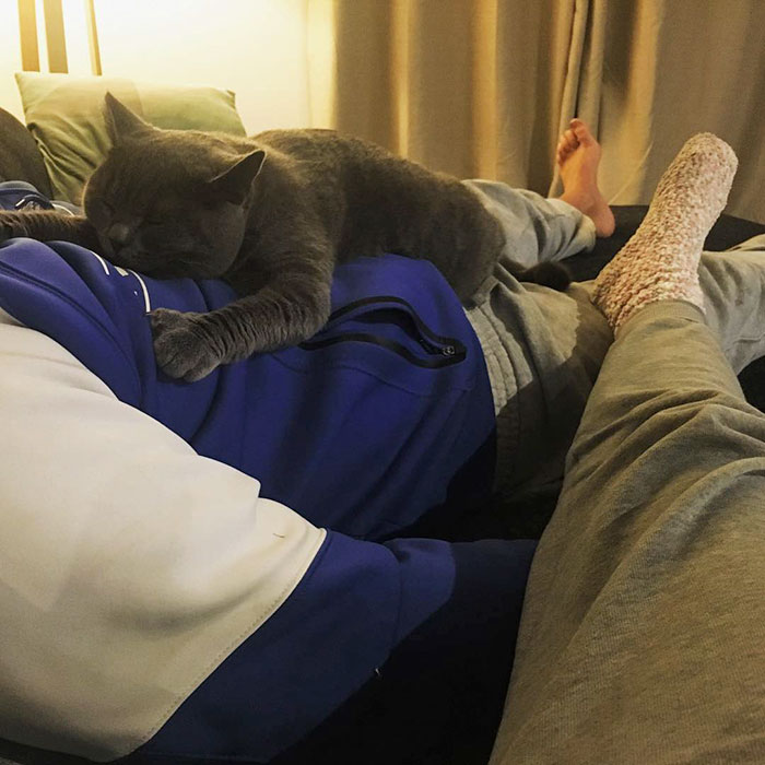 After Not Letting Me Get A Cat For Years He Is Now Besotted With Gus After Not Letting Me Get A Cat For Years He Is Now Besotted With Gus