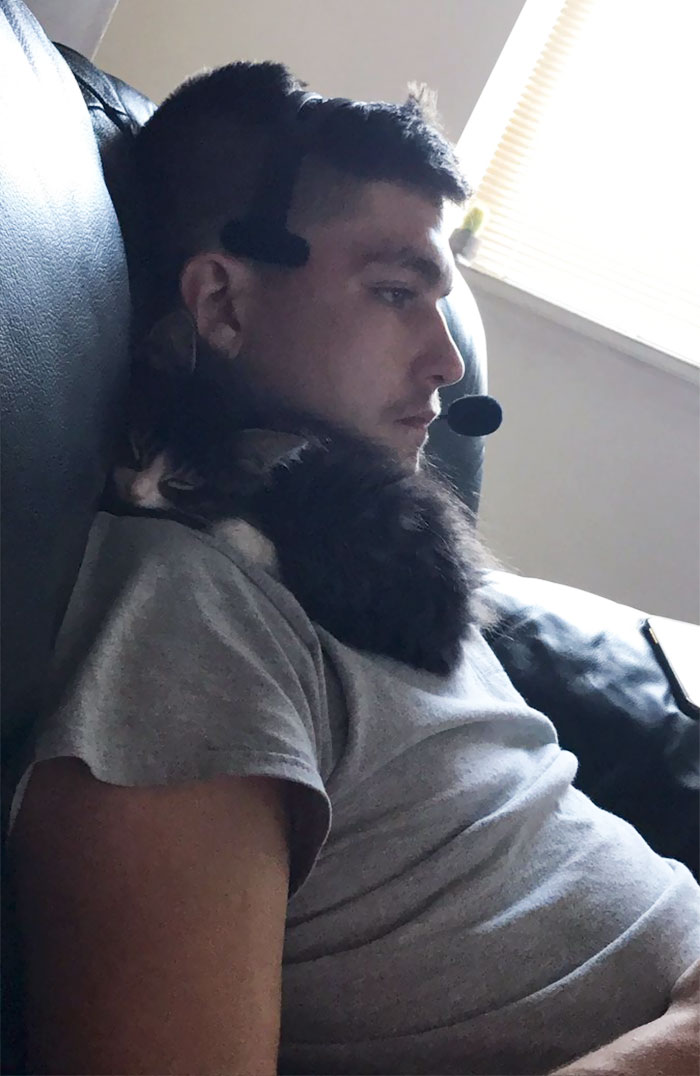 This Is The Man That Didn't Want A Cat This Is The Man That Didn