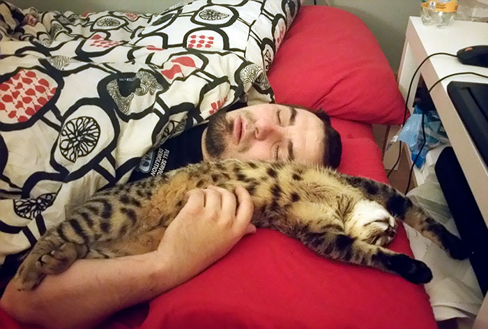 If You Ask Him, "F*ck No, I'm Not A Cat Person" If You Ask Him, "F*ck No, I