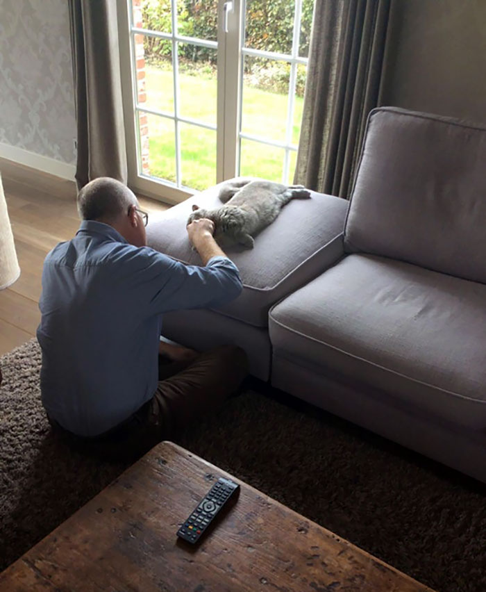 My Dad Never Wanted A Cat, And Look At Him Now My Dad Never Wanted A Cat, And Look At Him Now