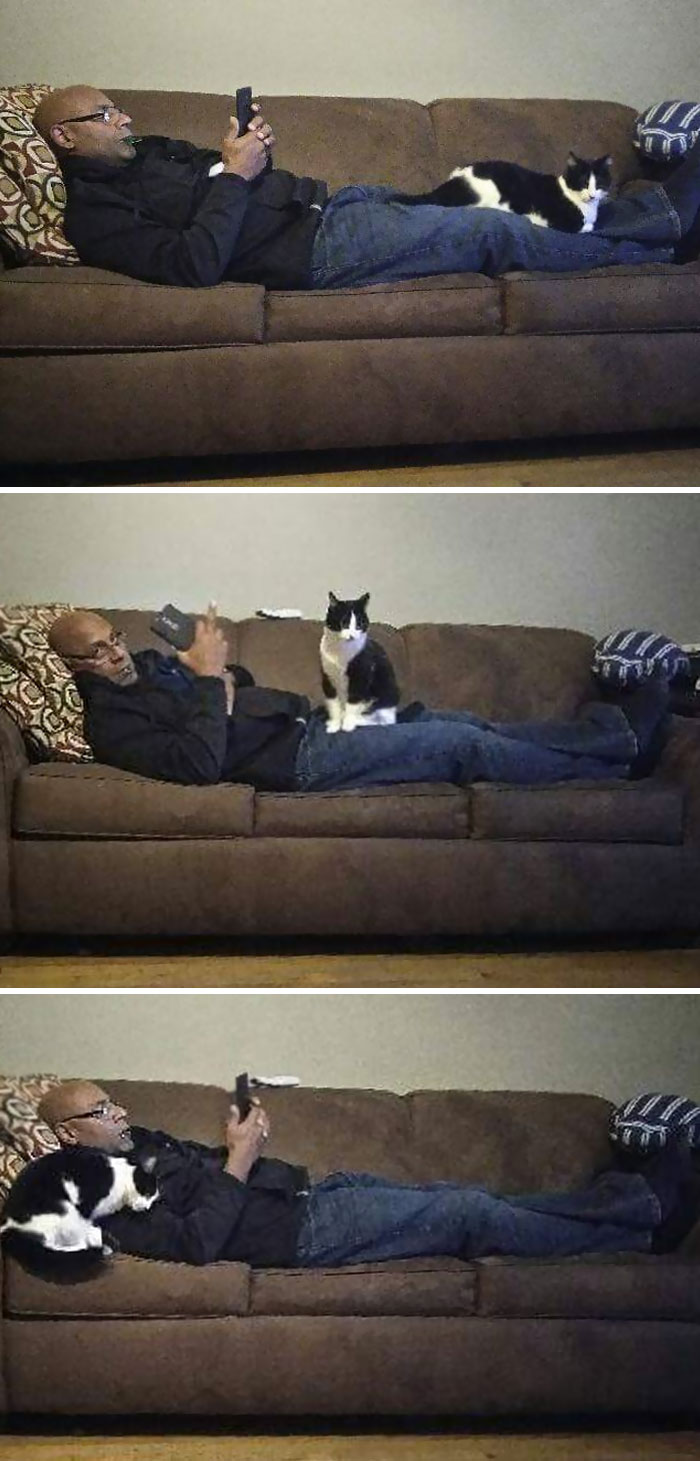 Our Cat Only Loves Our Dad, Who Hates Her Our Cat Only Loves Our Dad, Who Hates Her