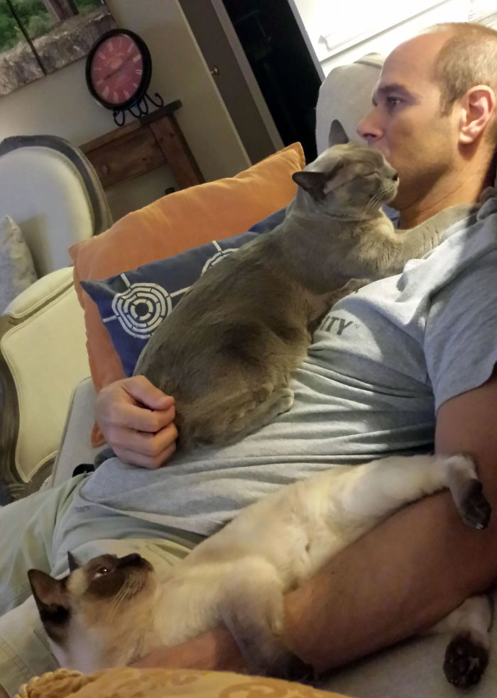 When We Met 13 Years Ago He Told Me, "I'm More Of A Dog Person, Really" When We Met 13 Years Ago He Told Me, "I