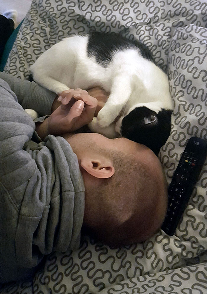 And He Didn't Even Want A Cat And He Didn