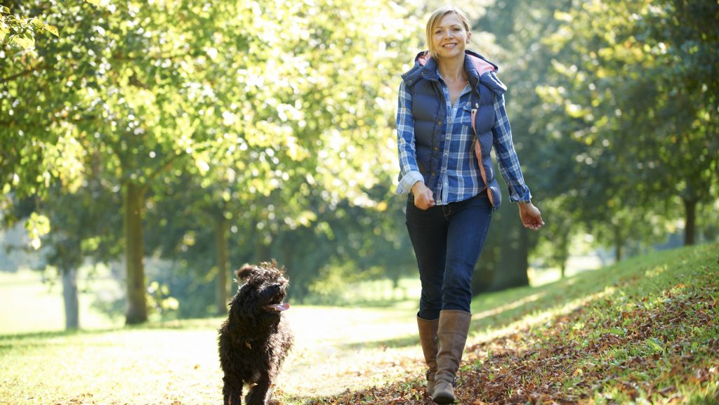 a9738076ca7d76027eccbb855fdd35e8