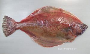 akagarei