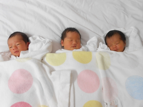 Image result for 同じ誕生日