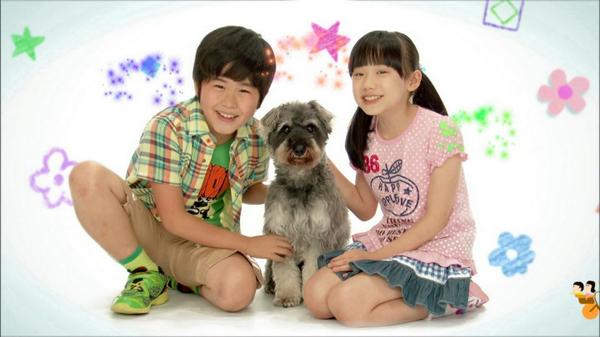 マルモのおきて에 대한 이미지 검색결과