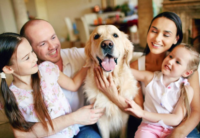 centrestreetanimalhospital