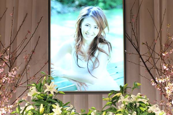 飯島愛에 대한 이미지 검색결과