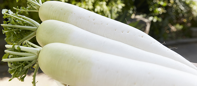 Image result for 大根