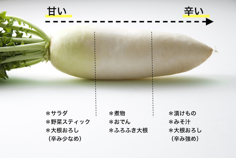 Image result for 大根