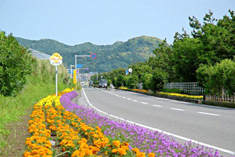「房総フラワーライン」の画像検索結果