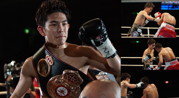 Image result for 井岡一翔　ボクシング