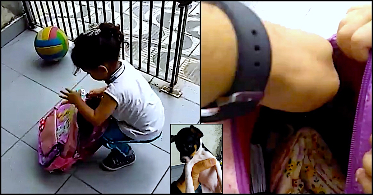 girl-sneaks-pup-1