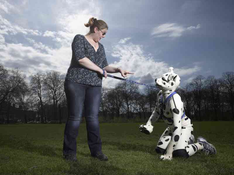 homem-adulto-domesticado-dog-2