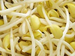 大豆もやし에 대한 이미지 검색결과