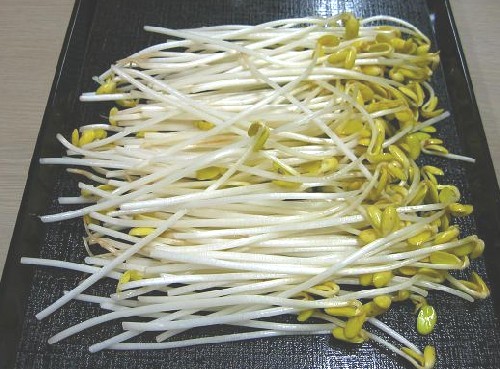 大豆もやし에 대한 이미지 검색결과