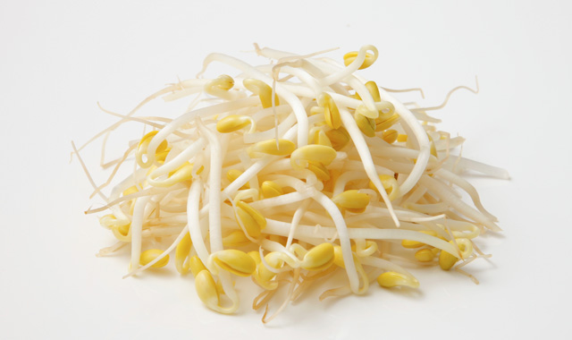 大豆もやし에 대한 이미지 검색결과