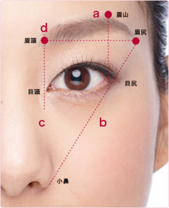 眉毛 形에 대한 이미지 검색결과