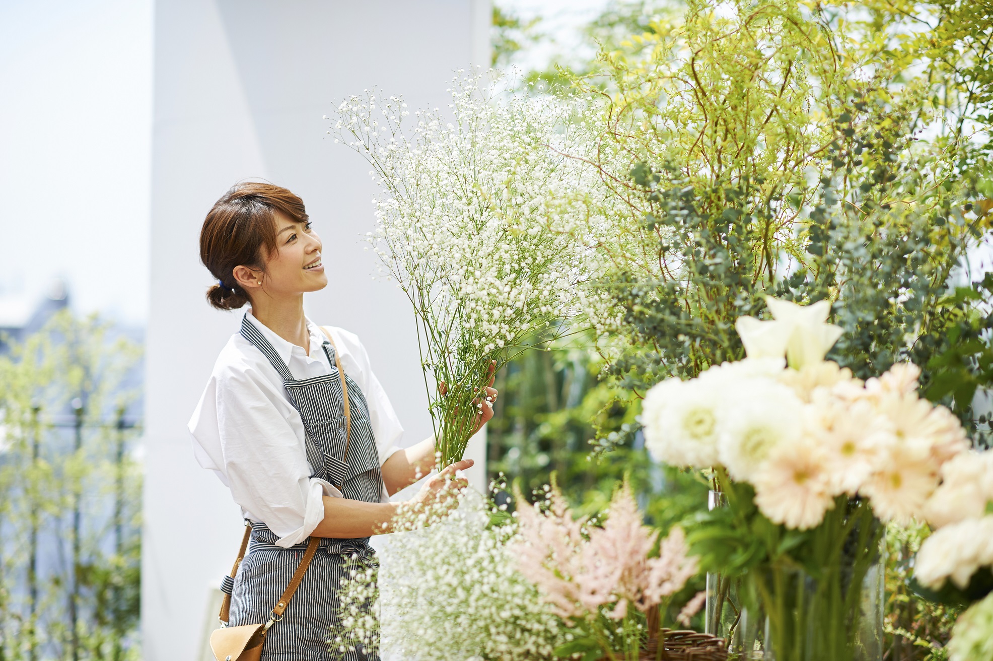 畑野ひろこ에 대한 이미지 검색결과