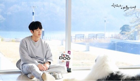 Image result for キム・ウビン　むやみに切なく　腫瘍