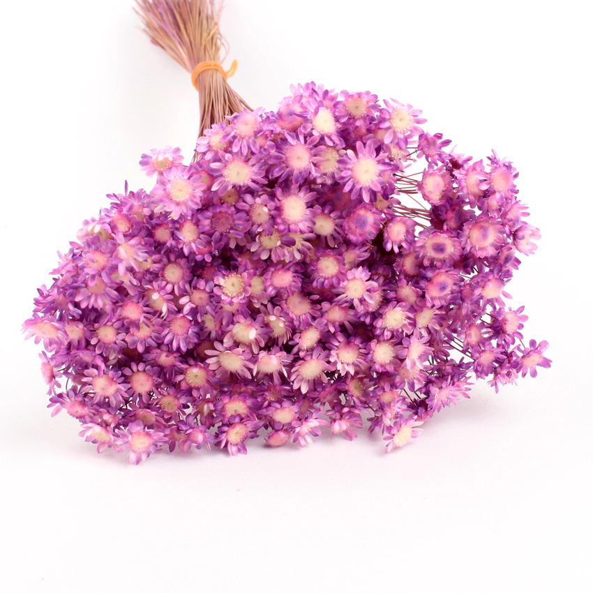 'Flowerbay'