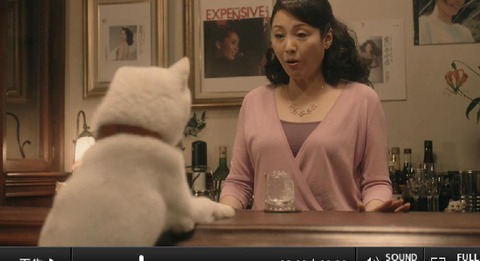 松坂慶子 ソフトバンク에 대한 이미지 검색결과