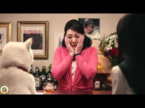 松坂慶子 ソフトバンク에 대한 이미지 검색결과