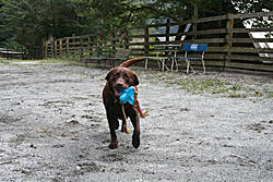 l_00015615img1