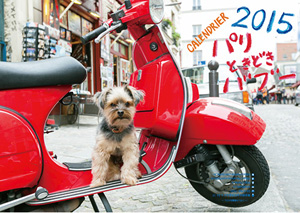 Image result for パリときどきバブー