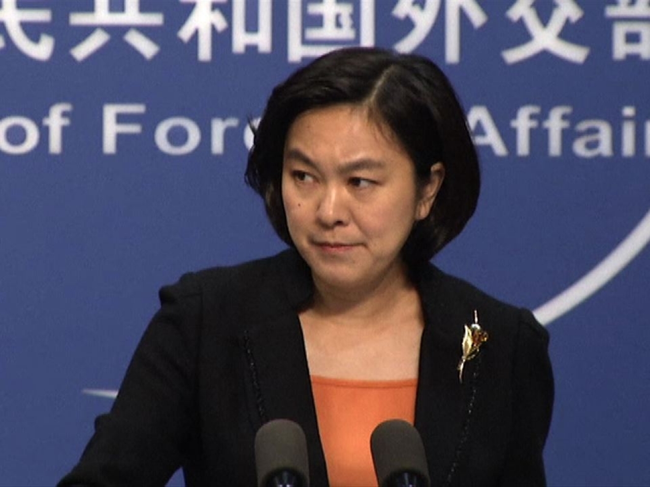 mfile_1233737_2_l_20160105231314