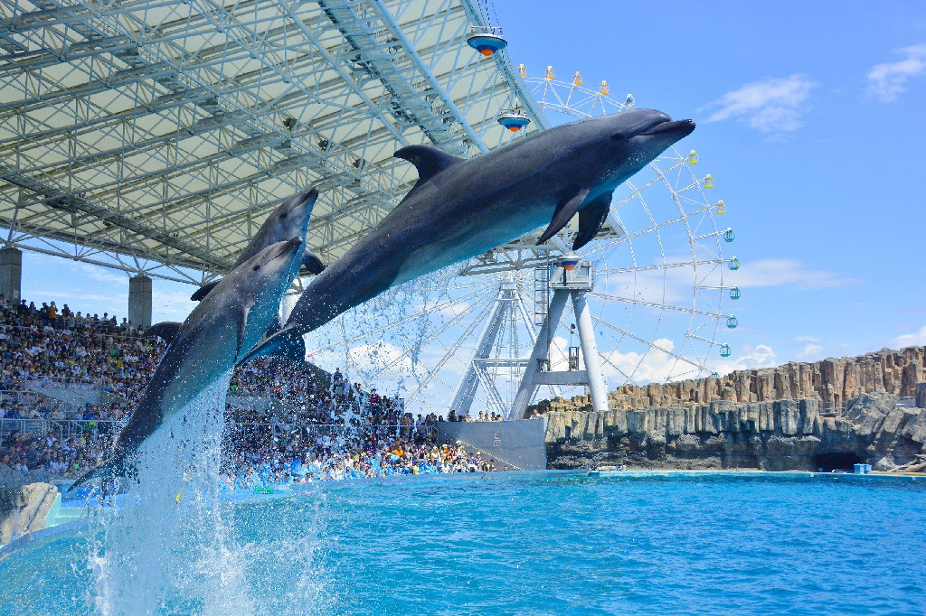 名古屋港水族館デートで2人の距離は急接近 Hachibachi