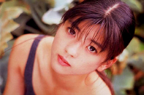 中山美穂,妹에 대한 이미지 검색결과