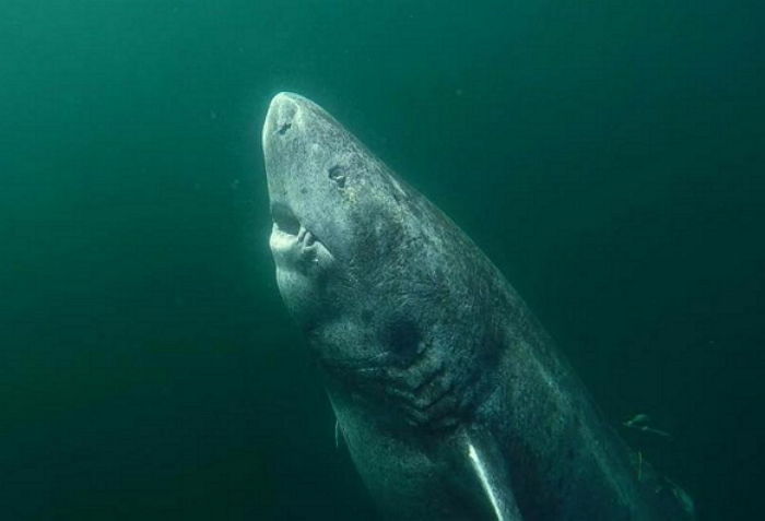 Instagram 'Juniel85'