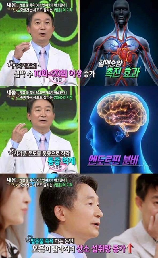 tv조선 '내 몸 사용 설명서'